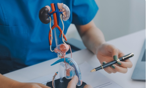 andrology sexual medicine