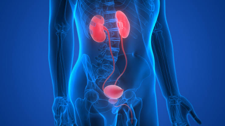 uro oncology